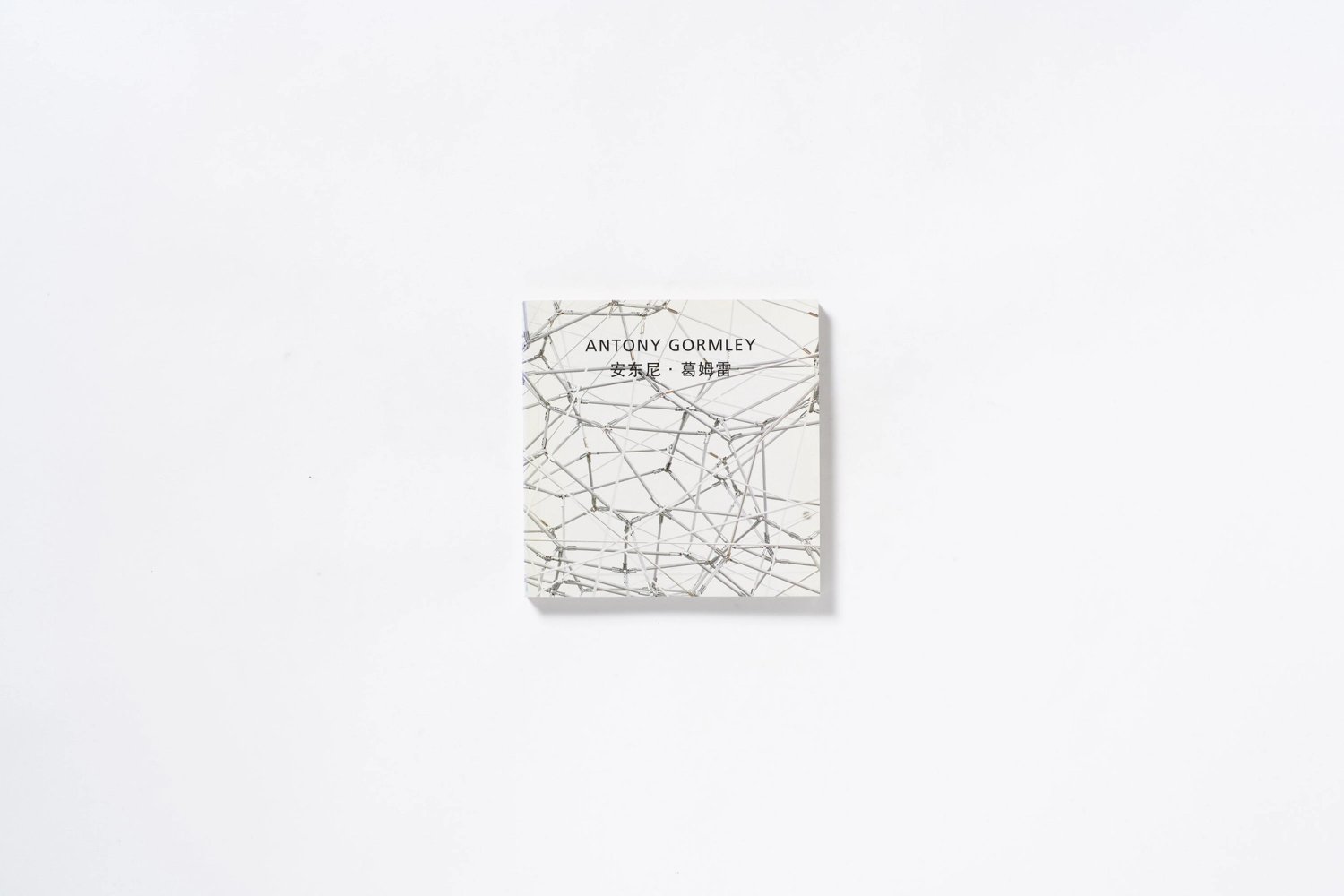 Antony Gormley: Another Singularity – Publications – Antony Gormley