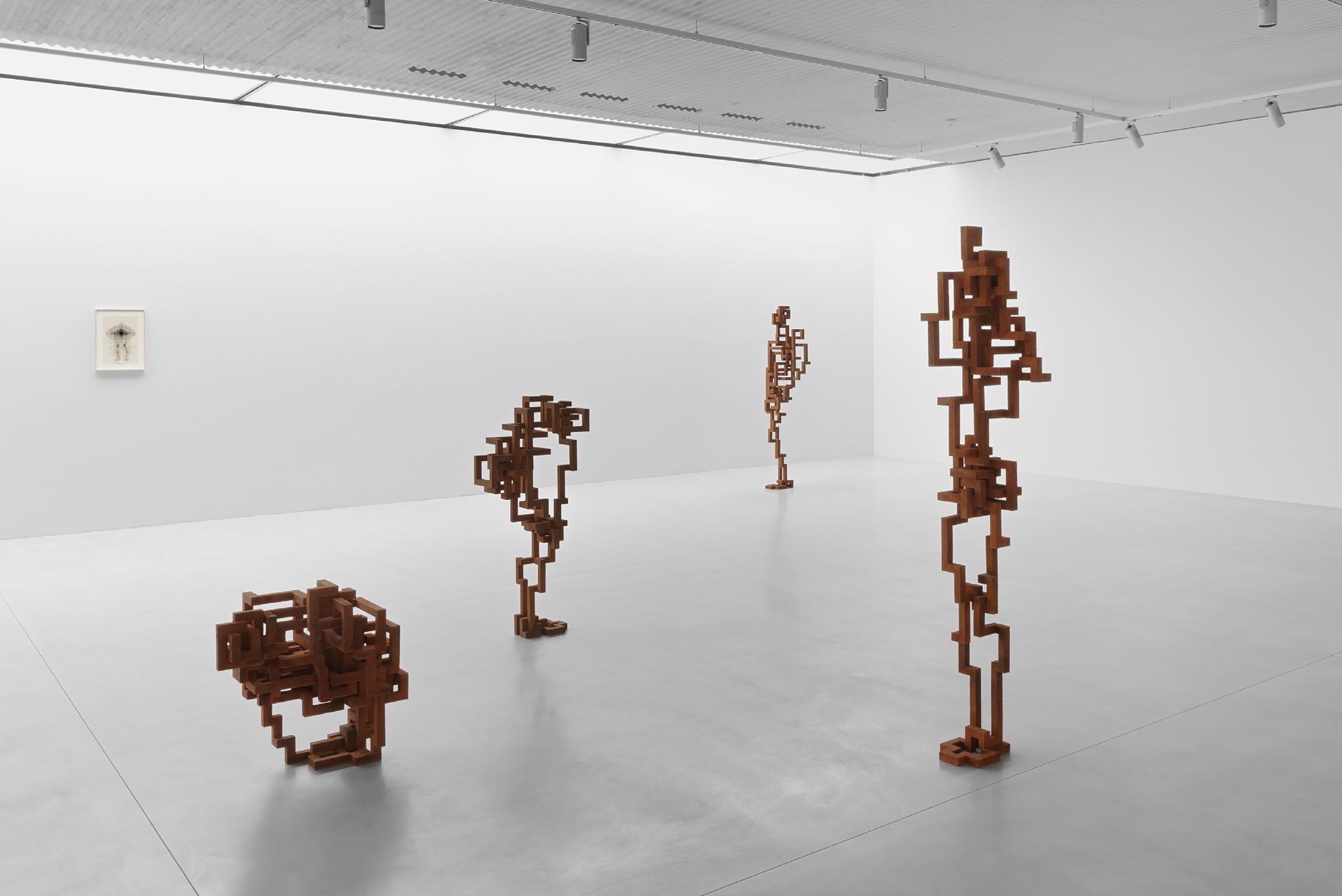 Body Field – Exhibitions – Antony Gormley