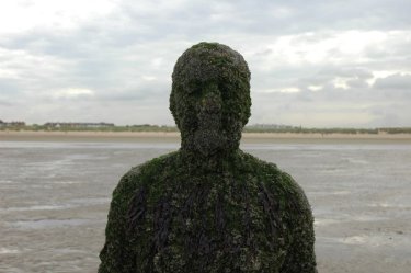 Another Place Exhibitions Antony Gormley another-place-exhibitions-antony-gormley
