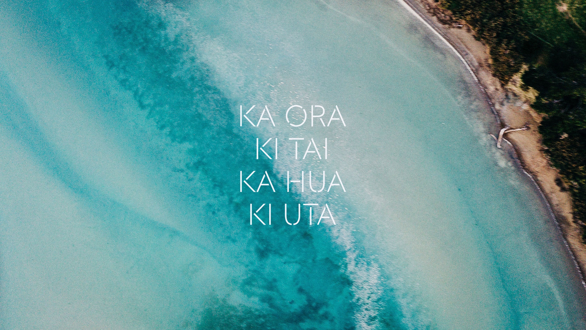 Ira-Te-Ohu-Kaimoana-Hero-Image-ocean-image