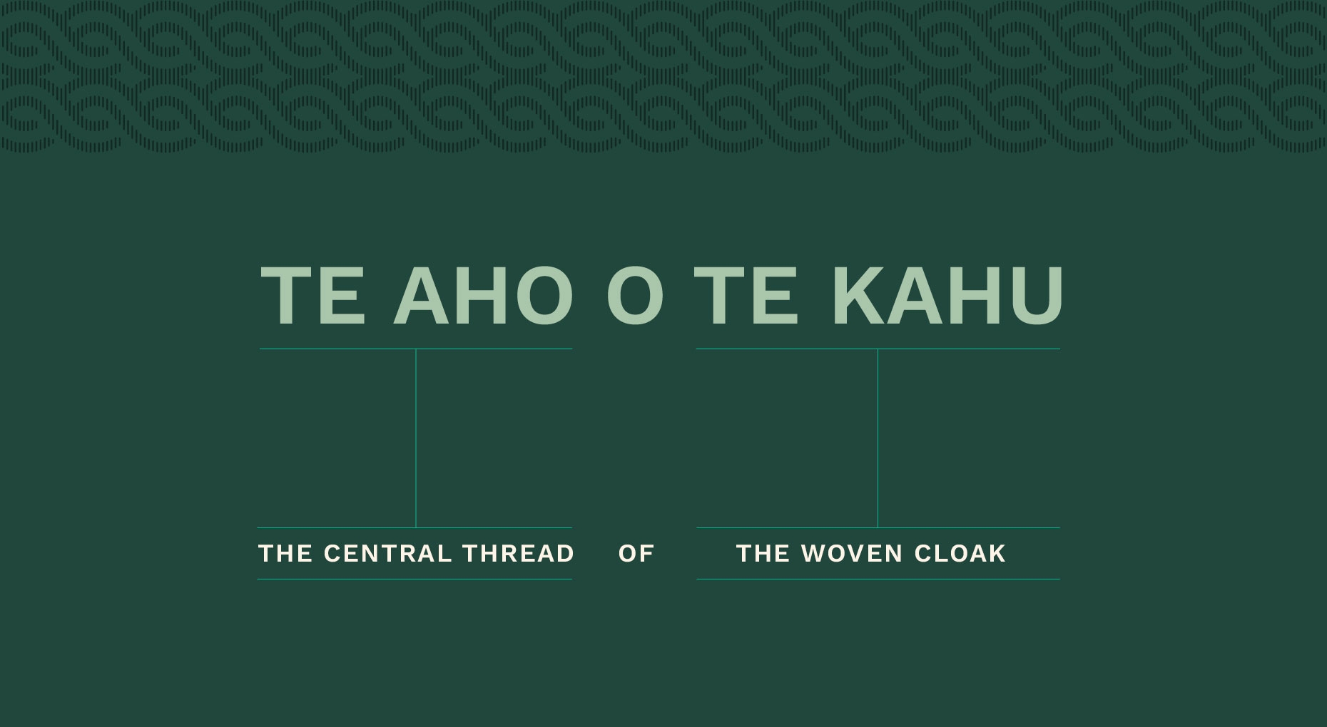 ira-te-aho-o-te-kahu-image-4