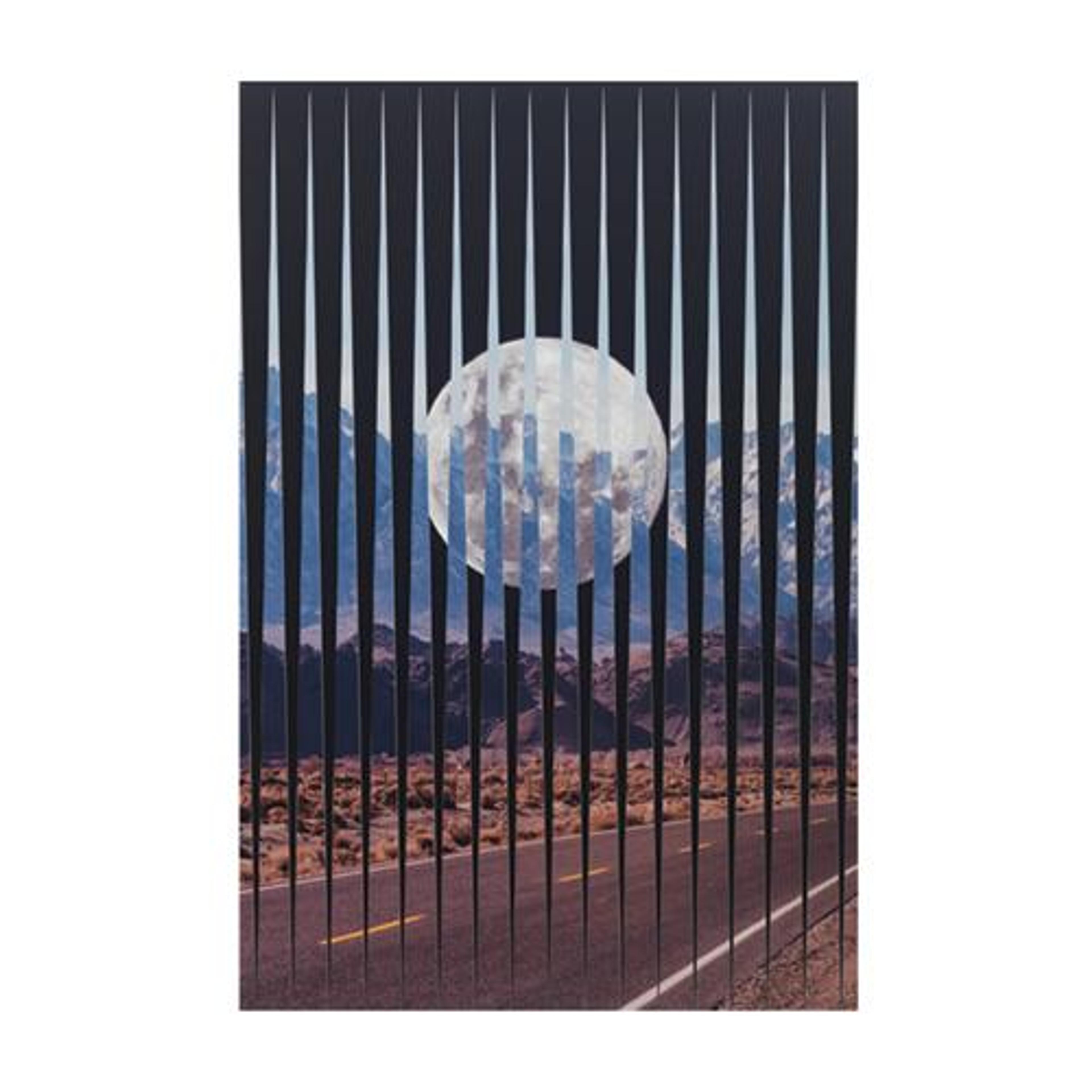 Shoot The Freak — T & P