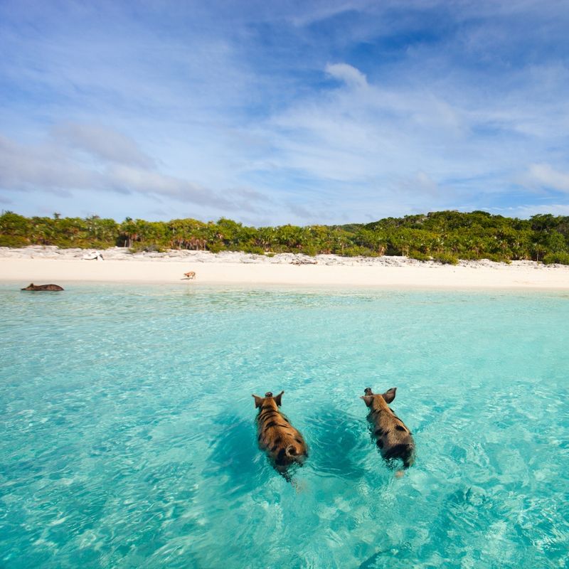 The Exumas Itinerary