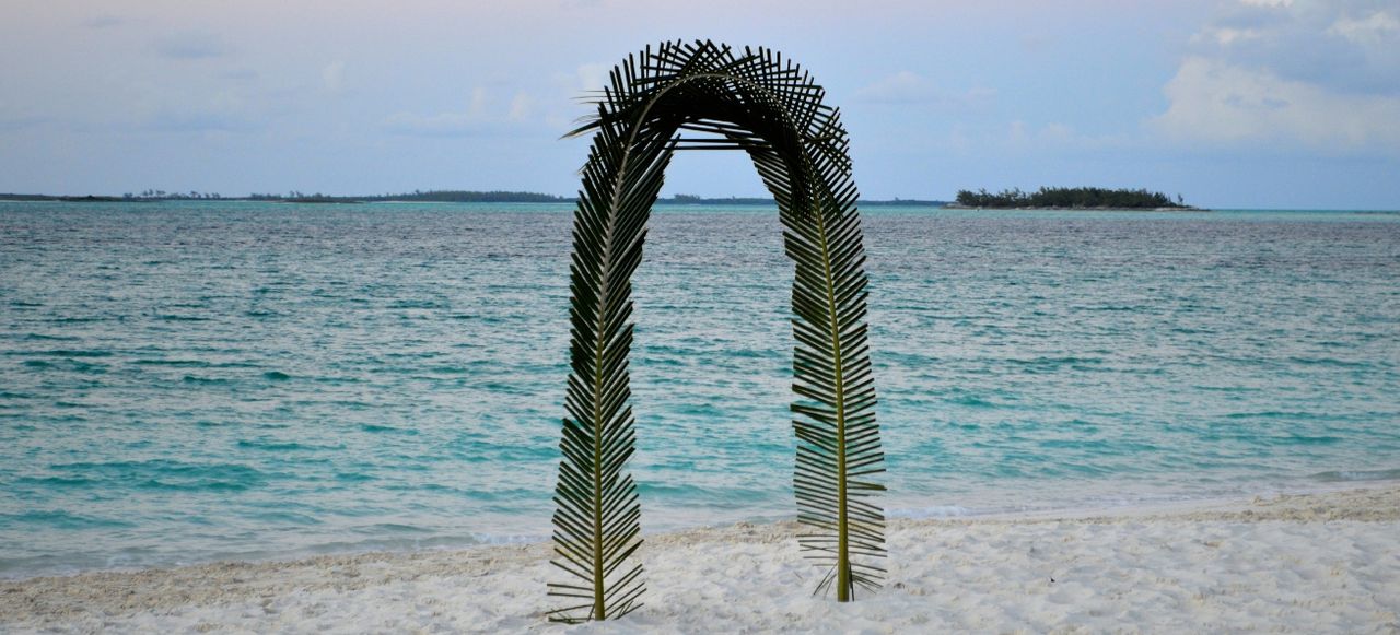 Beautiful palm tree arch for a romantic wedding in Bahamas