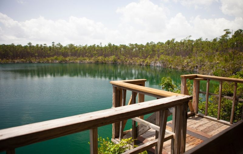 Jumping Platform at Captain Bill's Blue Hole