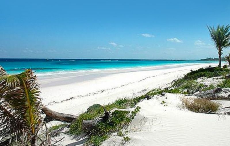 French Leave Beach