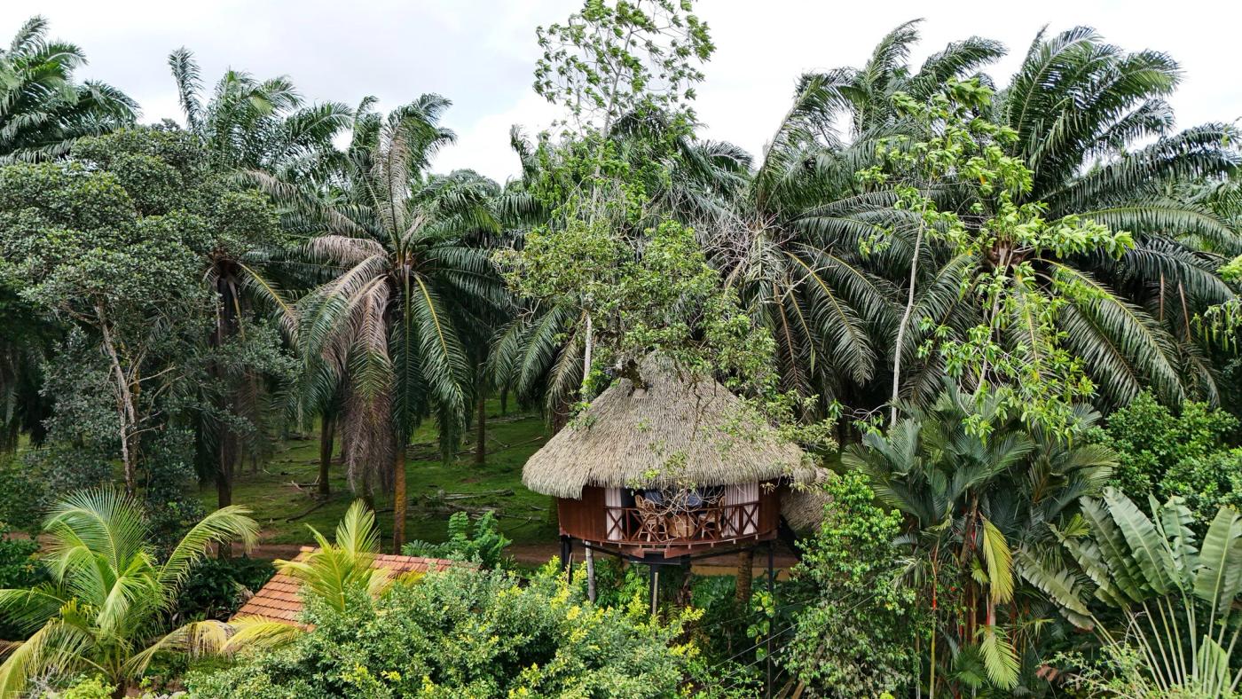 Una cabaña encaramada en los árboles, frente a la jungla y los arrozales, en el sur de Sri Lanka.