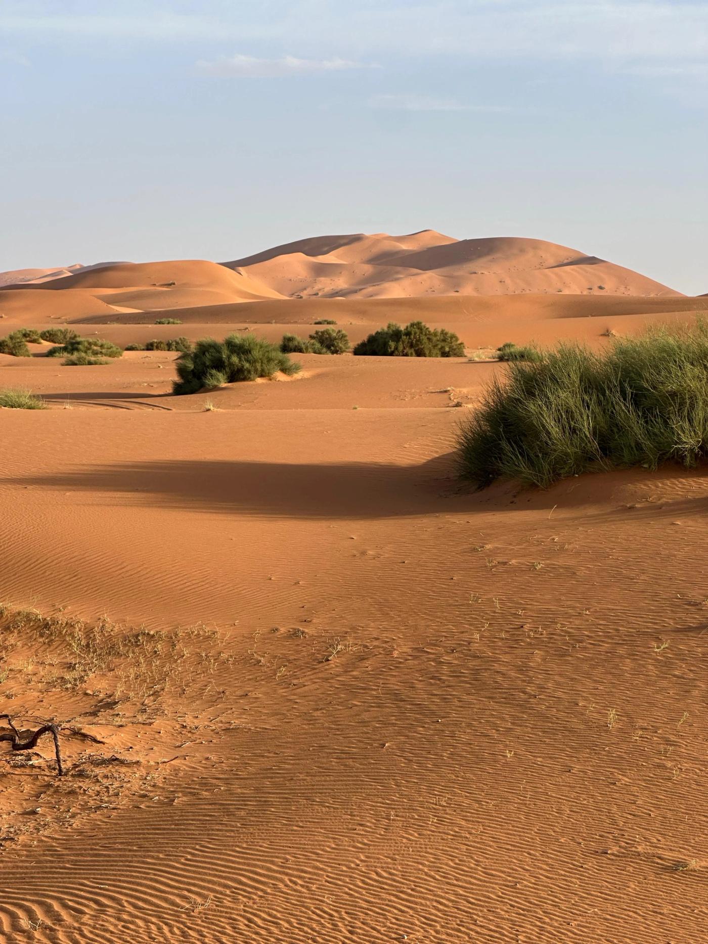 Las dunas del Erg Chebbi, en el desierto marroquí.