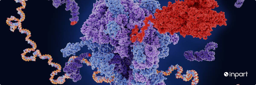 Technology image: Stabilised RNA Therapeutics