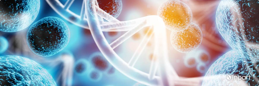 Technology image: Novel Specific Inhibitors of FGFR1 Signaling