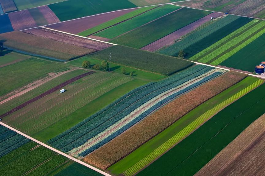 Aerial photography of field with crops