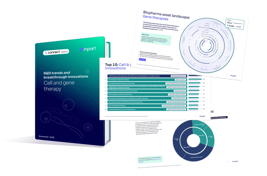 Example of AM report contents