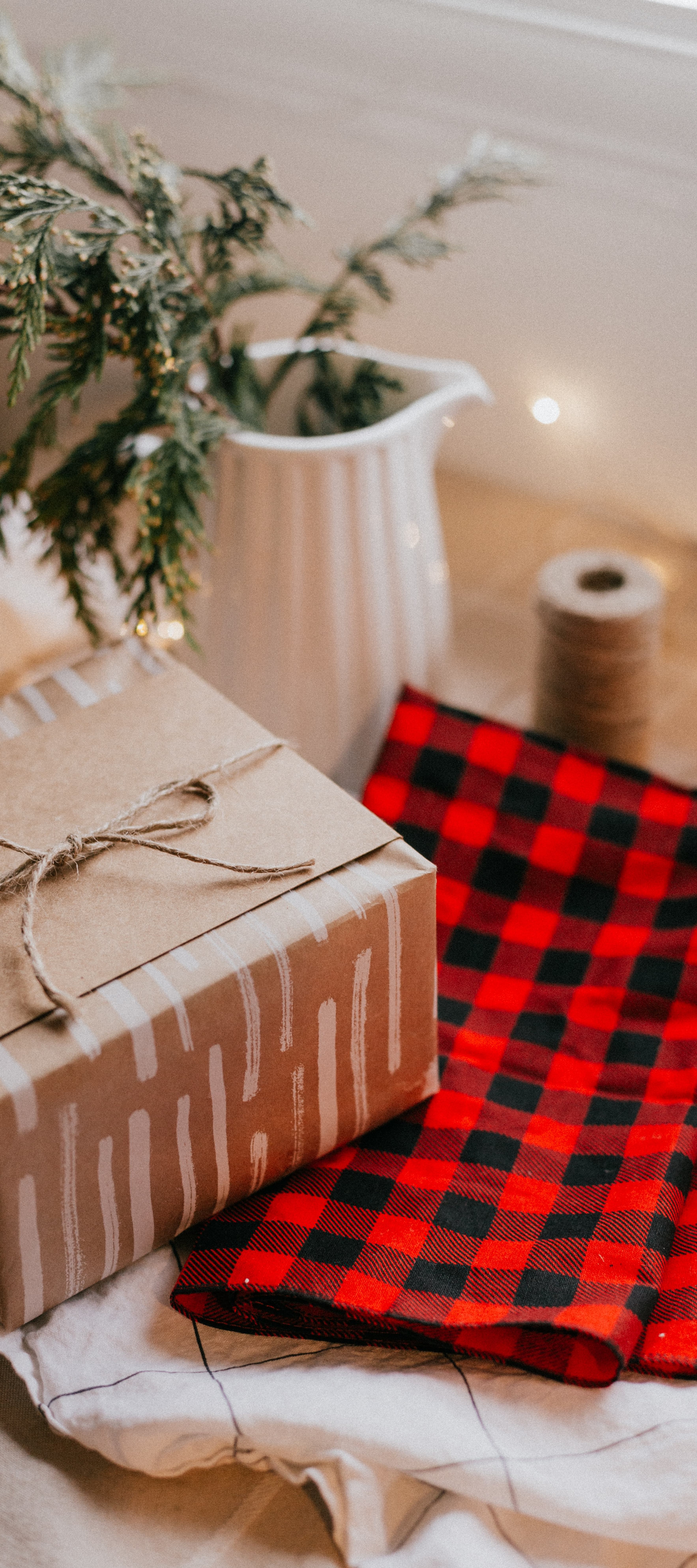 Gift box and plant on table