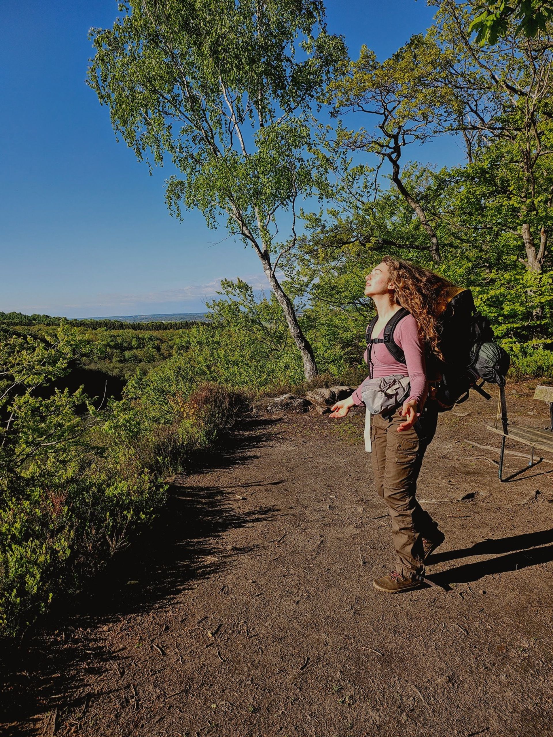 A hiker with a backpack pauses on a sunlit trail at a forest overlook in Söderåsen National Park, Sweden, face turned up to the sun above a wide green ravine landscape