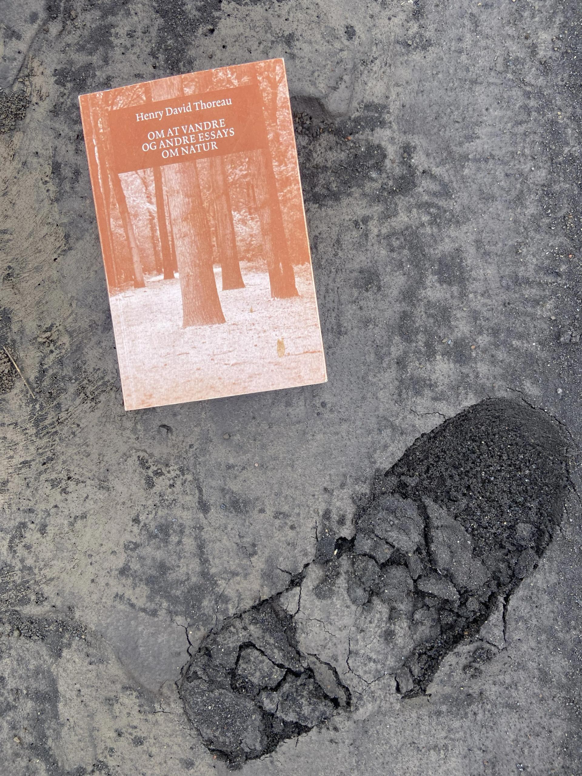 A paperback copy of Henry David Thoreau’s essays "Om at vandre og andre essays om natur" lying on cracked grey asphalt.