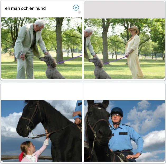 rosetta stone lesson