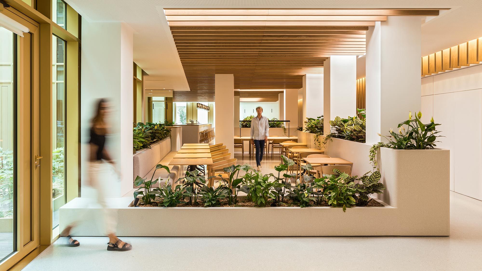 Biophilic Design in the Workplace