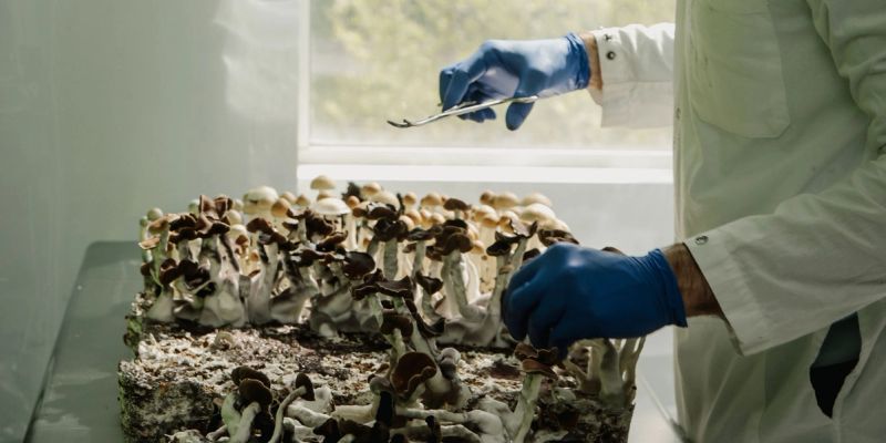 Rapidly Discovering and Extracting Natural Pharmaceuticals