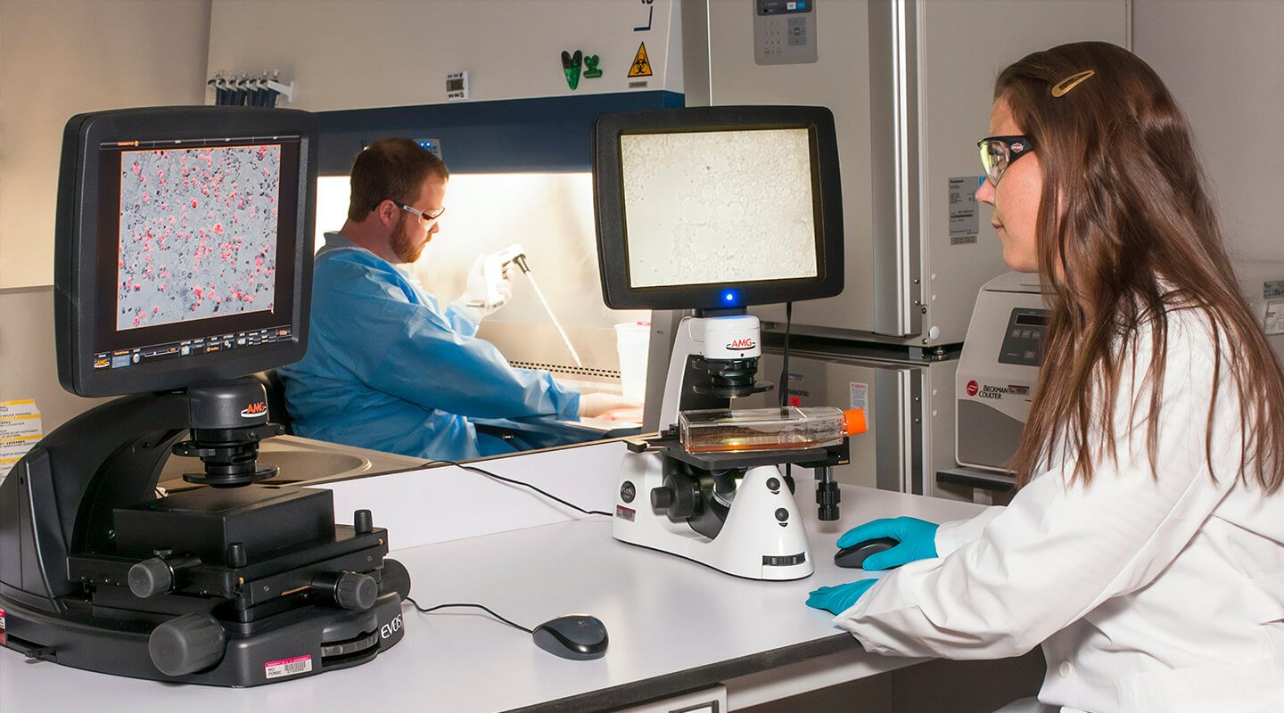 4 FDA Medical Device Reporting Procedures for Life Science Companies