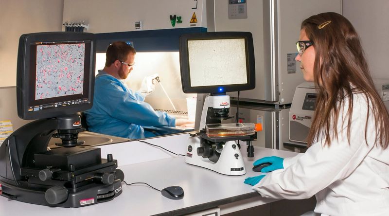 How SaMD companies can use a QMS to improve regulatory compliance