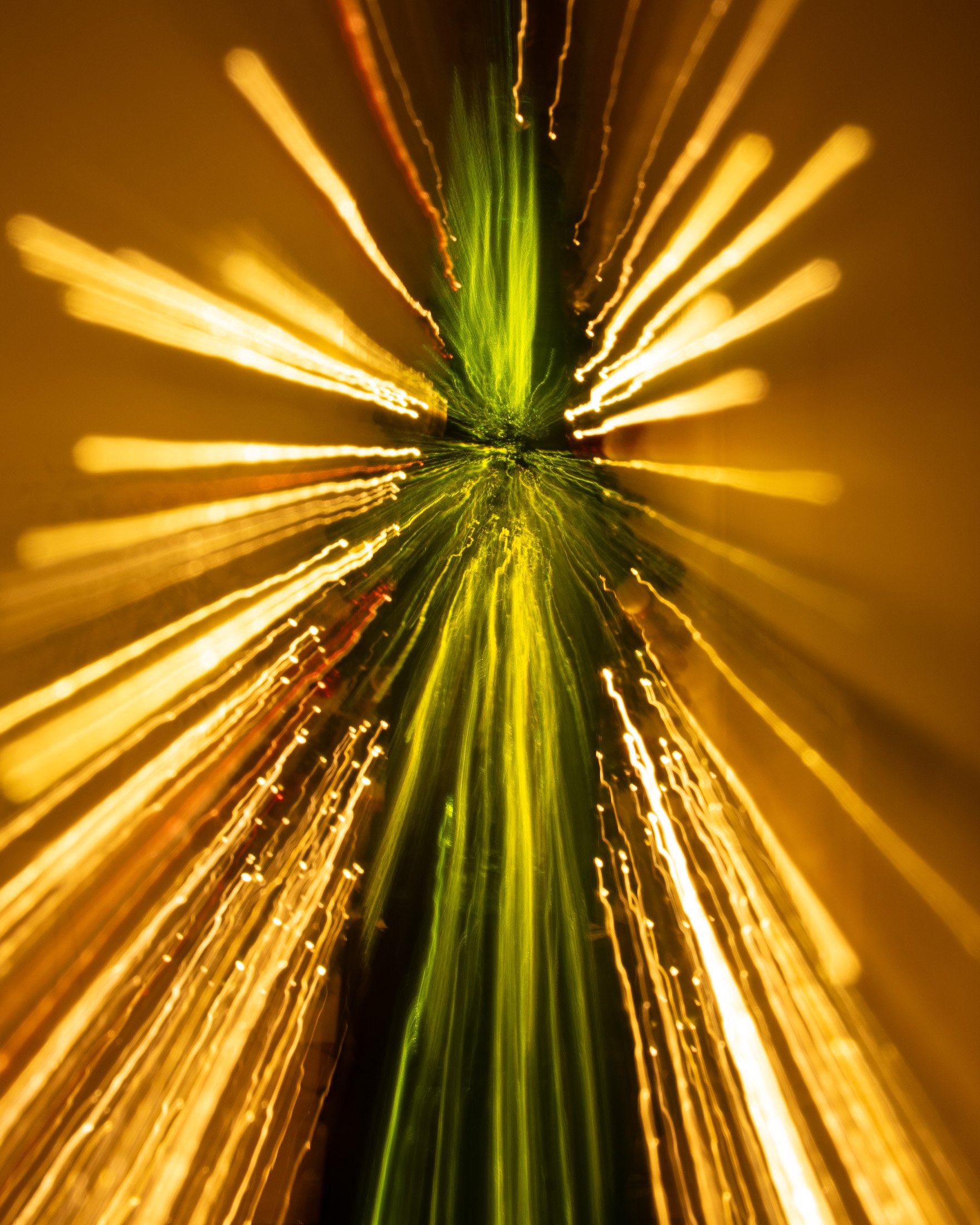 a bottle in front of emerging christmaslight