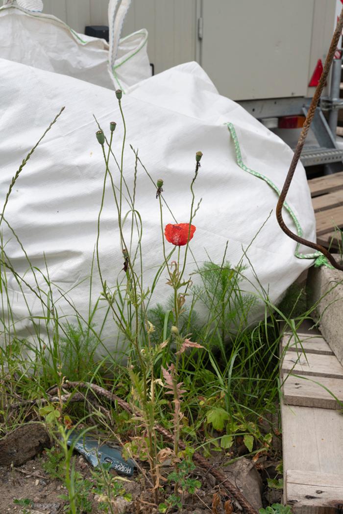 1-gewerbemuseum-winterthur-neue-wildnis-franziska-klose-cohabitat-stadt-1-pro-litteris-zurich-2026-300dpi-a5.jpg