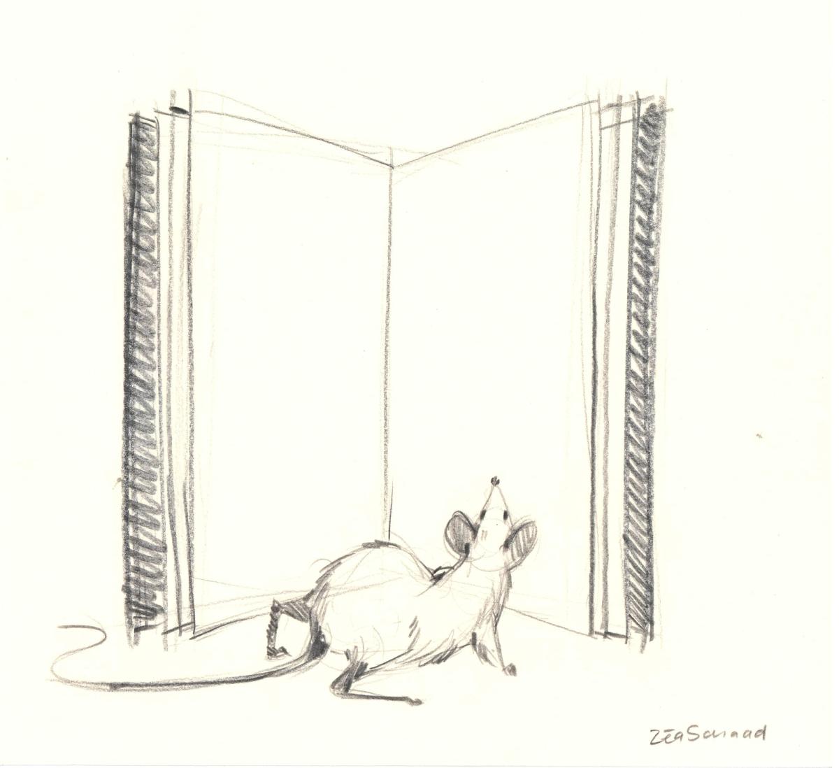 © Zéa Schaad