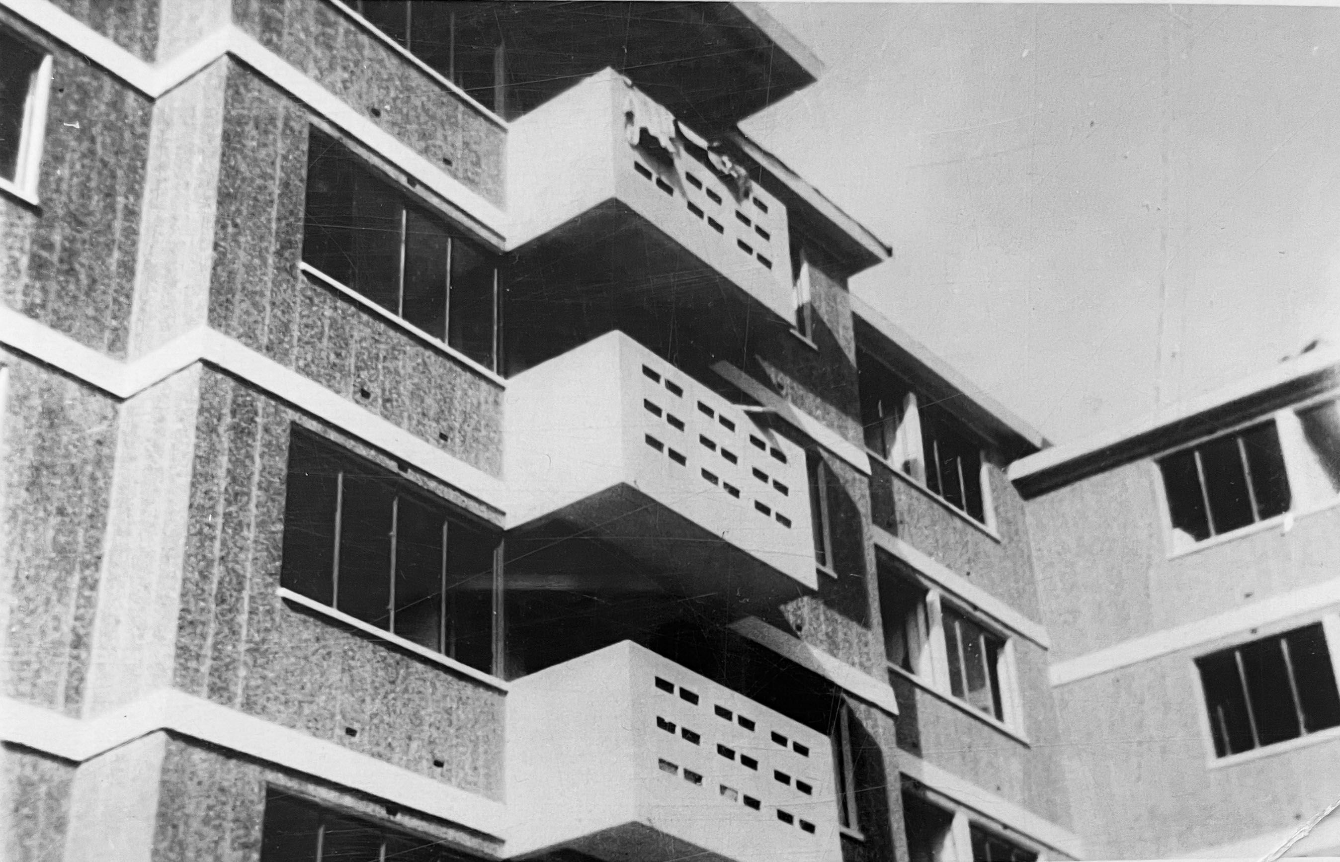 Le champ des oiseaux | BUREAUPERRET