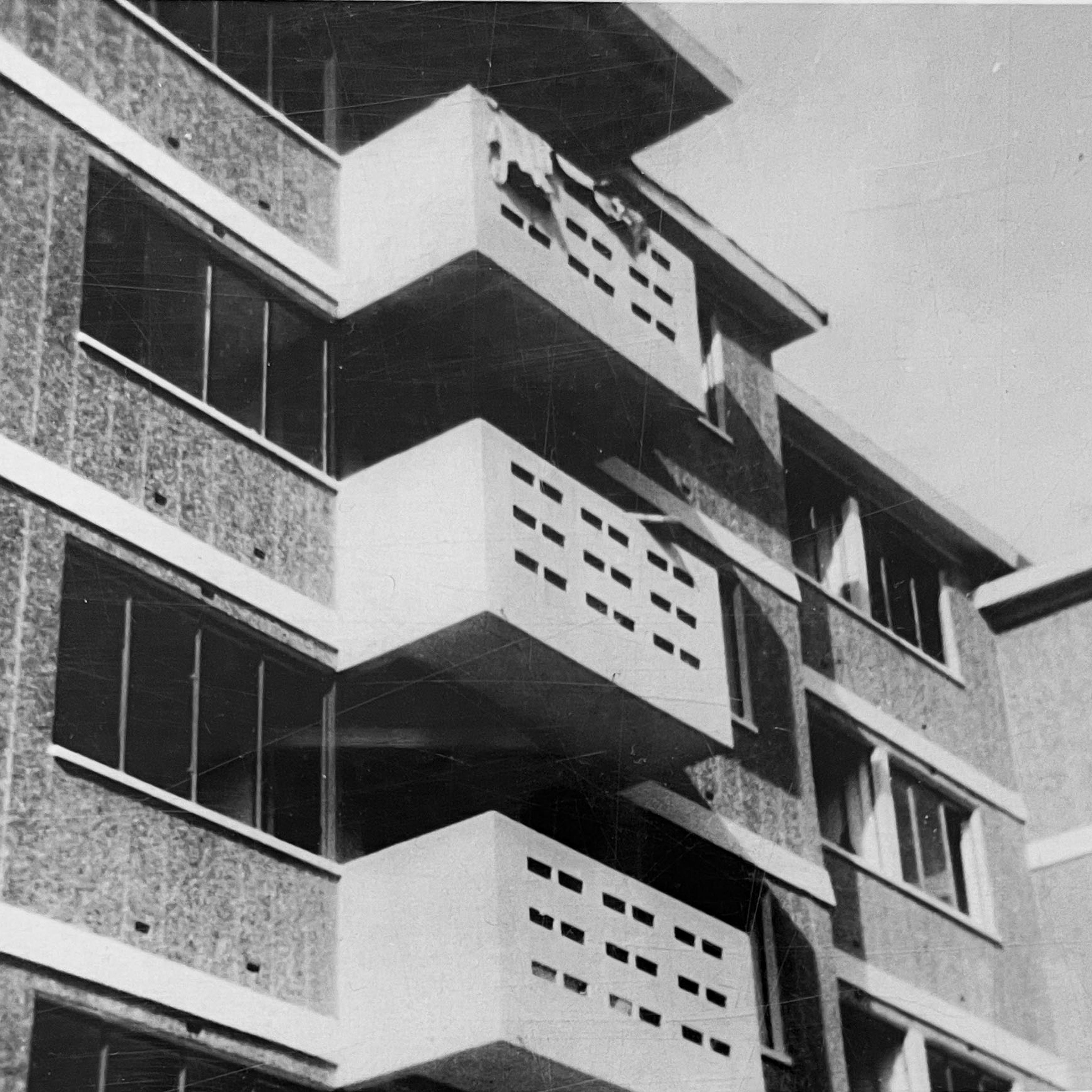 Le champ des oiseaux | BUREAUPERRET