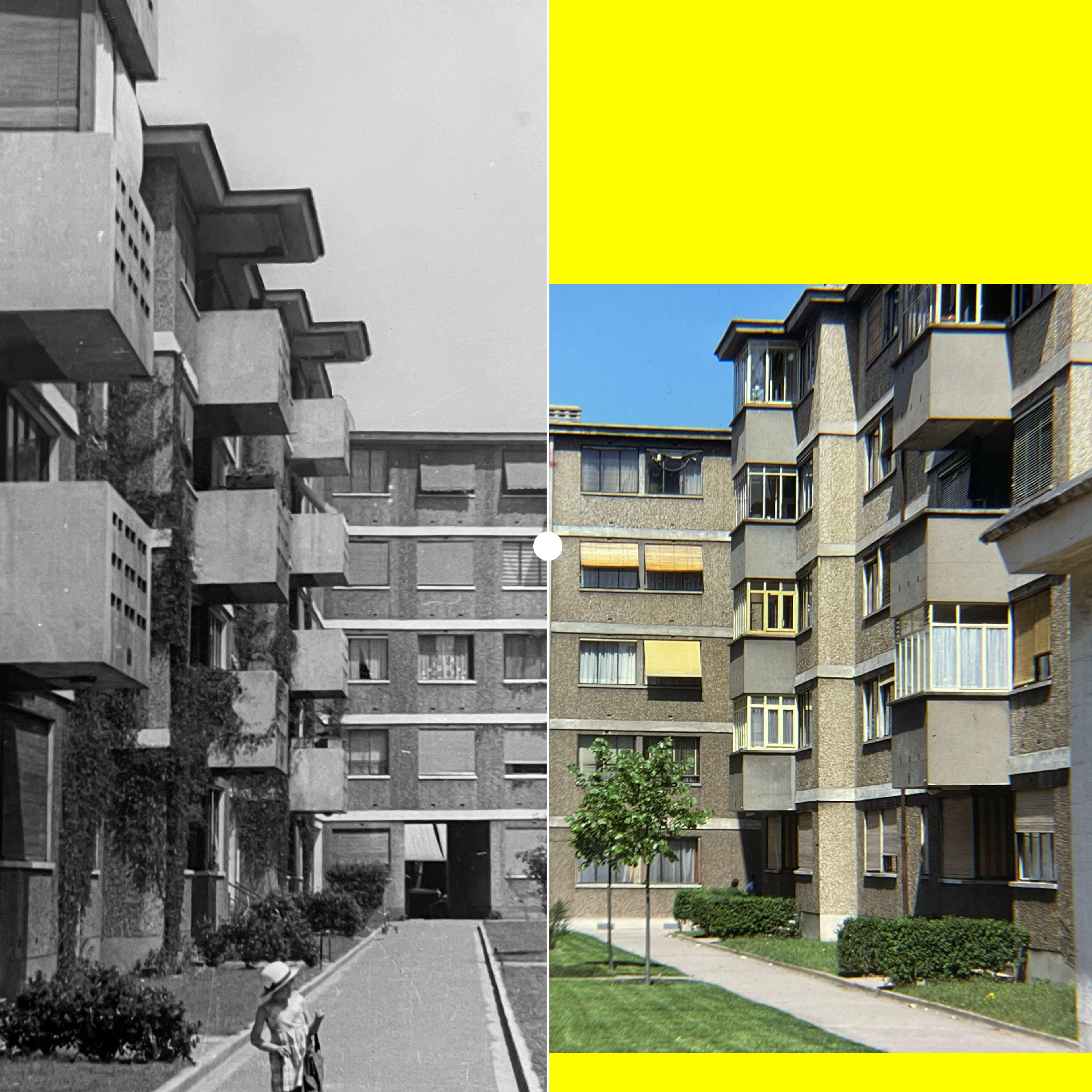 Le champ des oiseaux | BUREAUPERRET