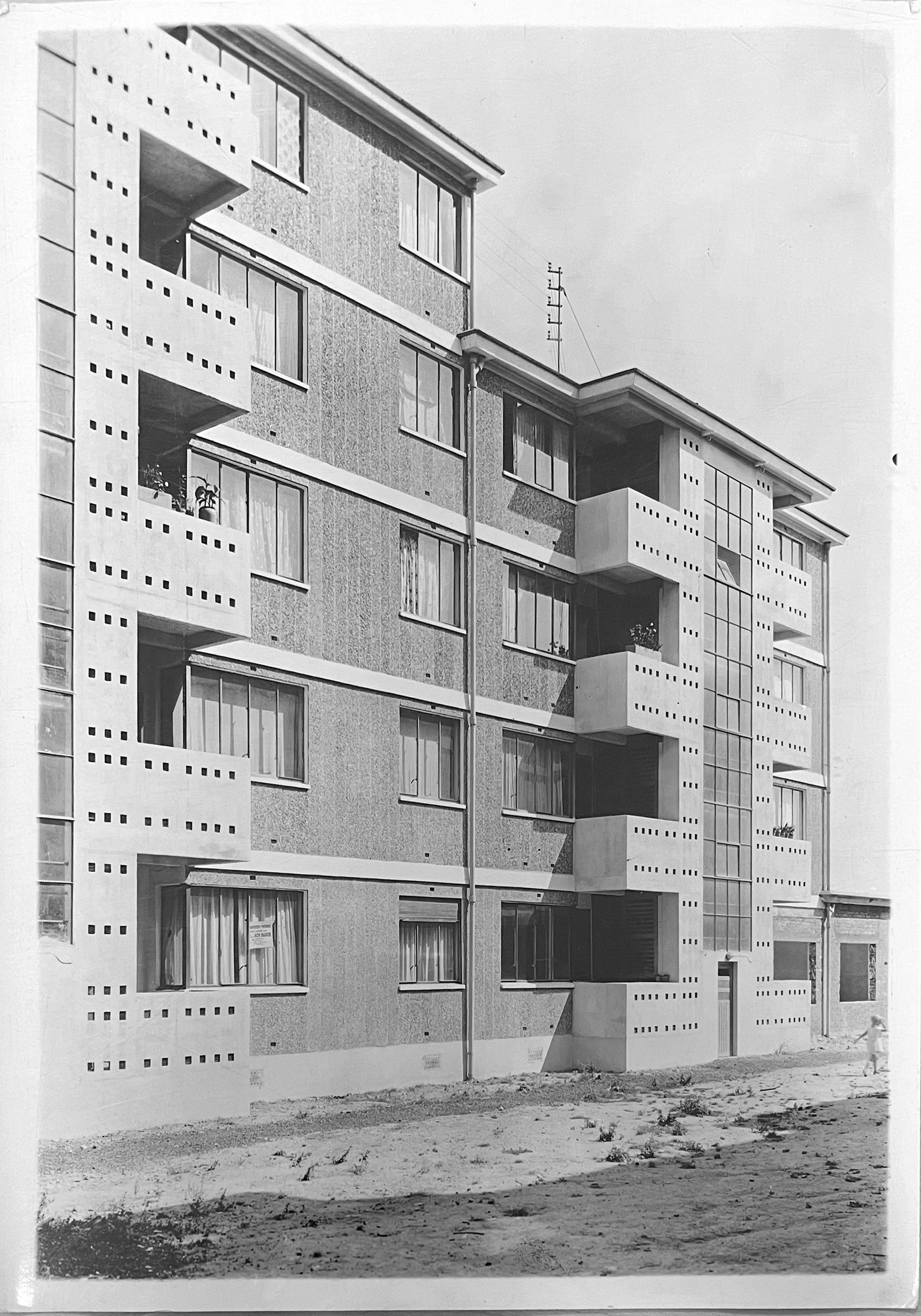 Le champ des oiseaux | BUREAUPERRET