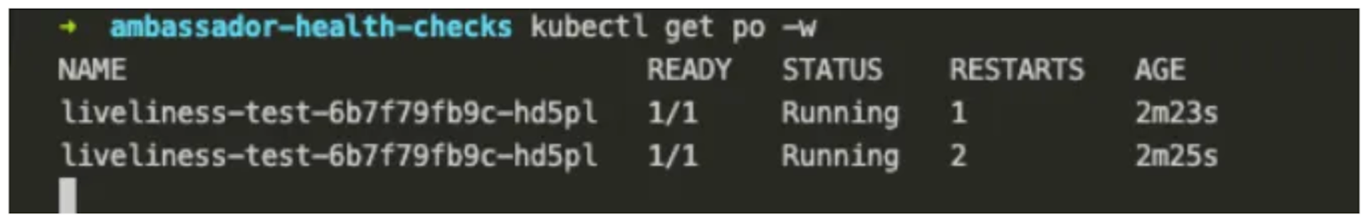  configuring the liveness probe