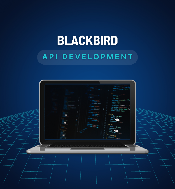 New API Development Platform, join Blackbird Beta and try it now