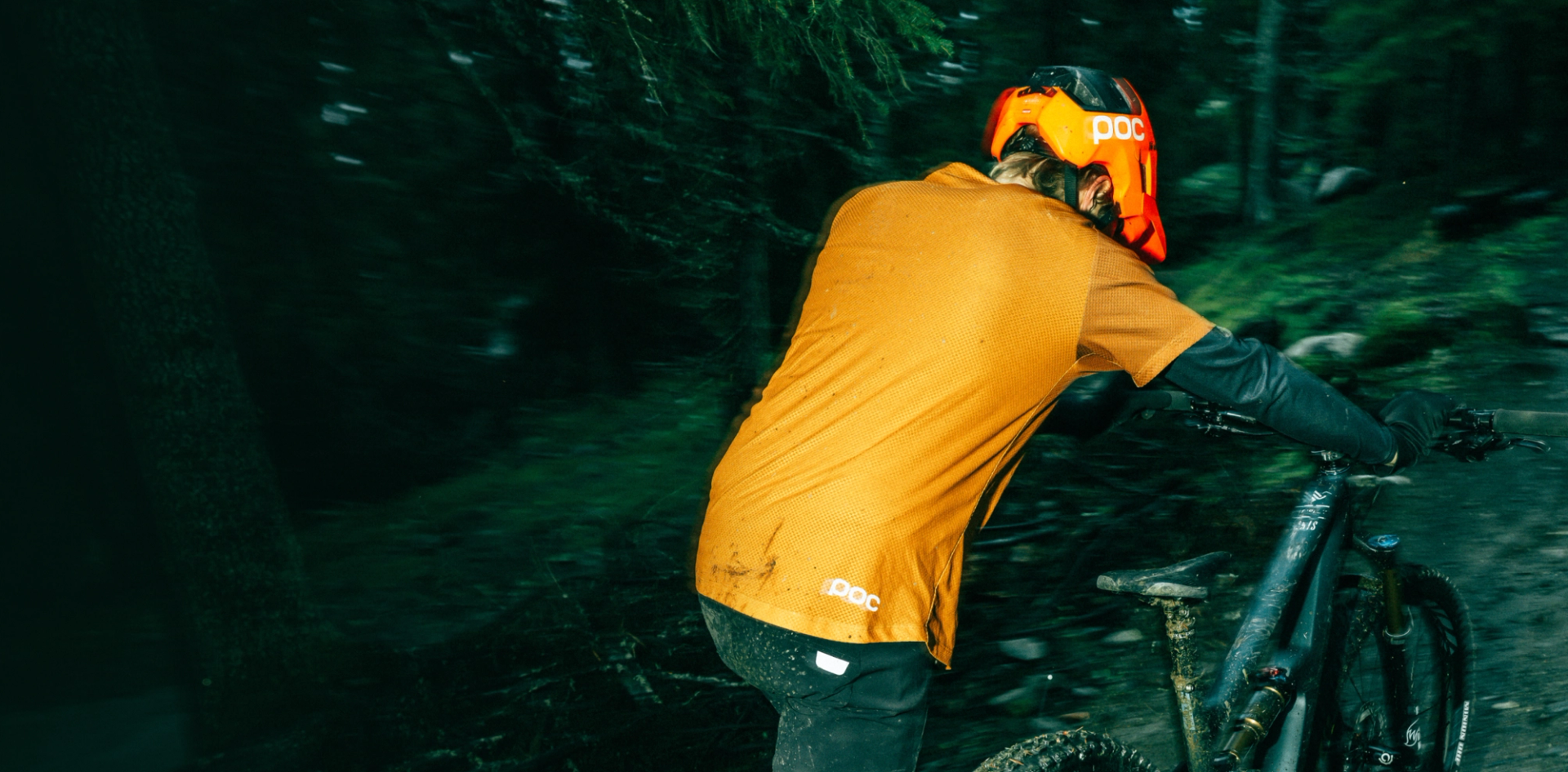 Journal article image