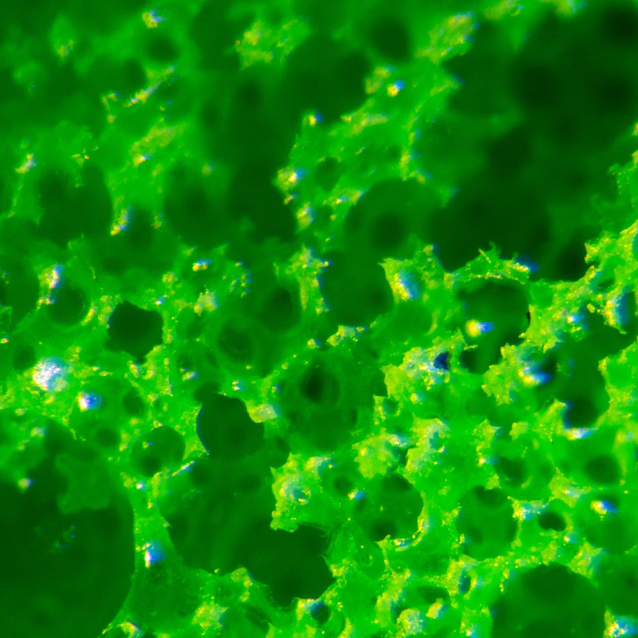 Microscope picture of green VPD Material