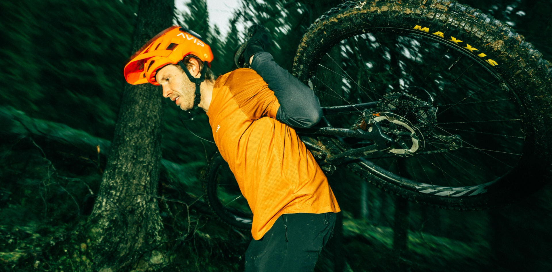 Journal article image