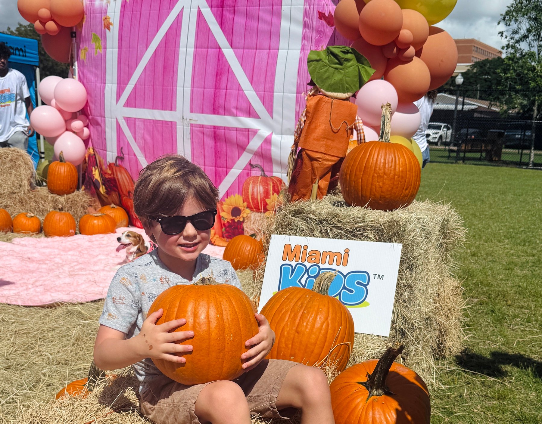Un niño entre calabazas en el Fall Festival de Miami Kids Magazine