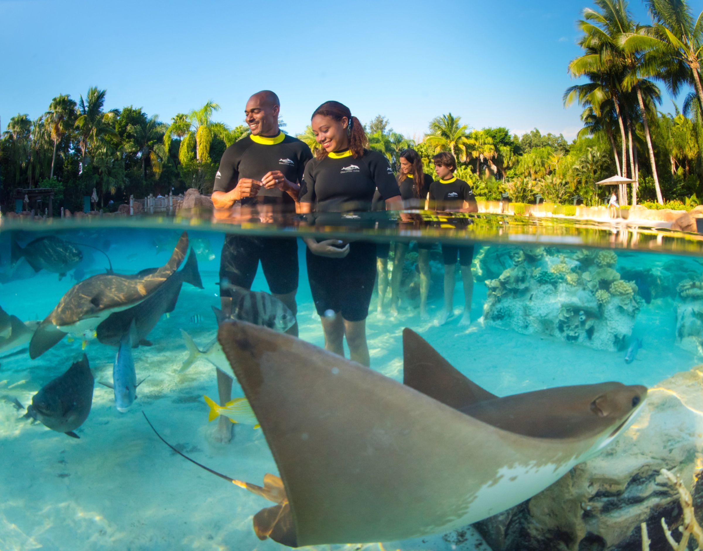Visitantes en la laguna con rayas en Discovery Cove