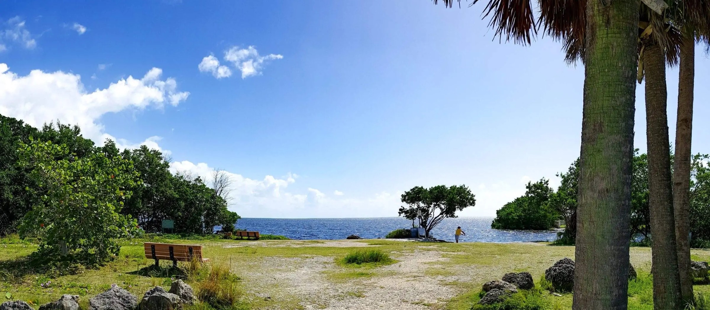 Palms and a grassy point on the Biscayne Bay shore at Deering Estate