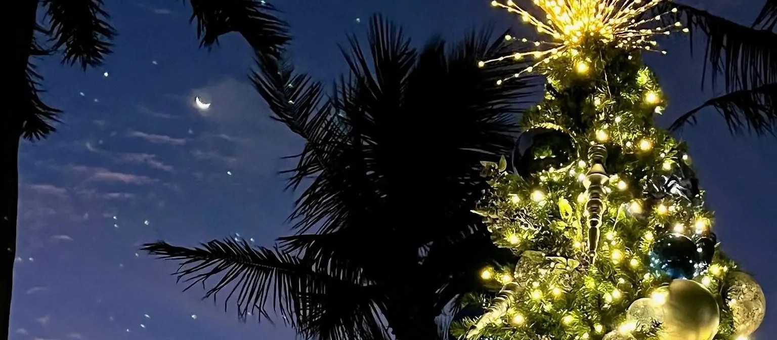 Un árbol de Navidad iluminado junto a siluetas de palmeras bajo un cielo nocturno con luna creciente