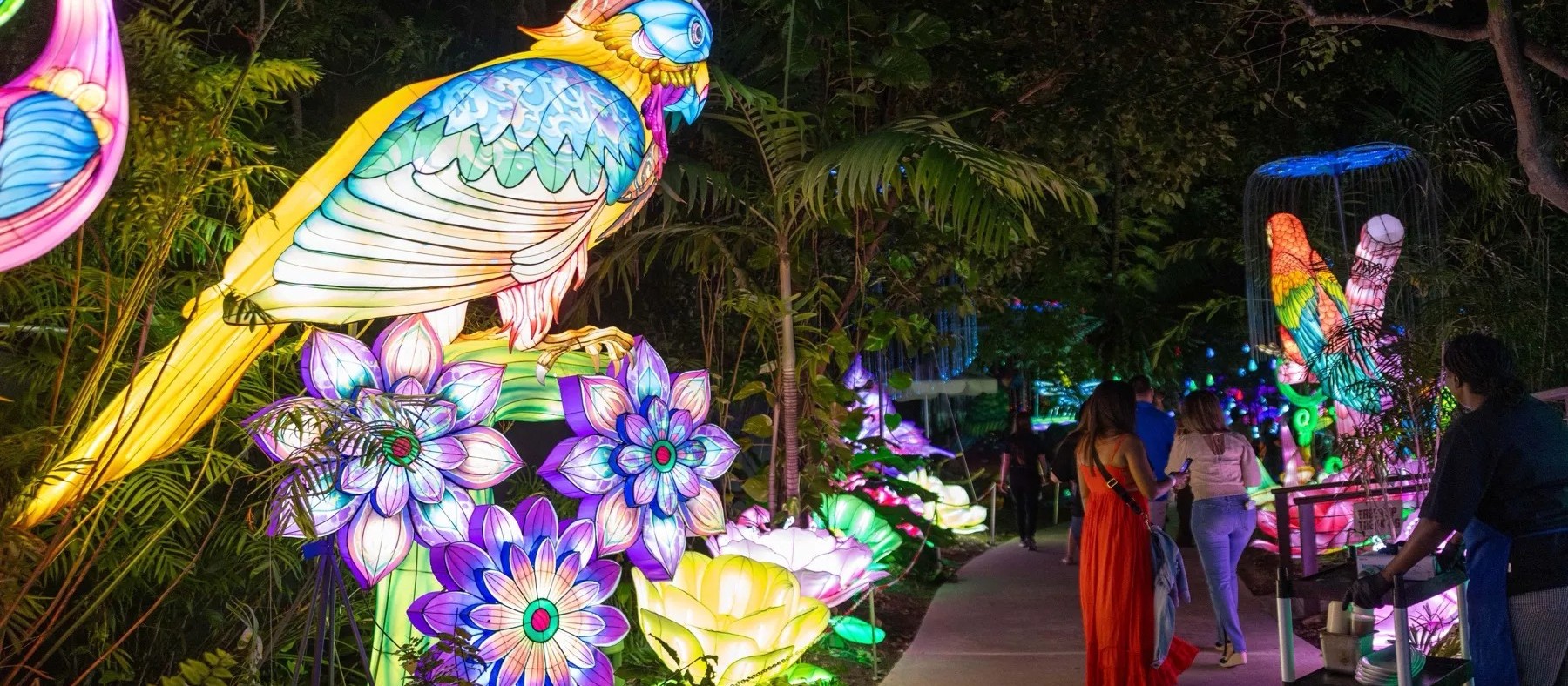 Giant lanterns shaped like tropical birds and flowers glow along a garden path at Luminosa