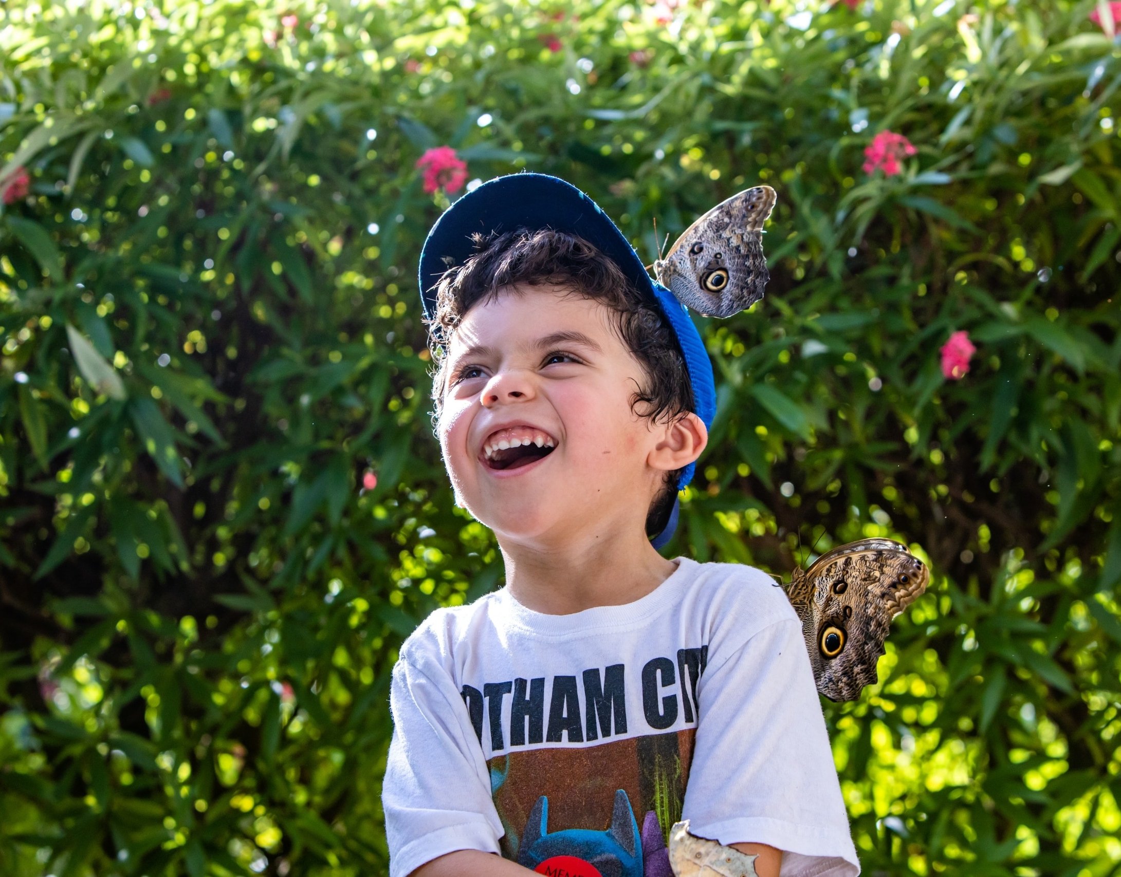 A laughing boy with butterflies on his cap and shoulder at Fairchild Tropical Botanic Garden