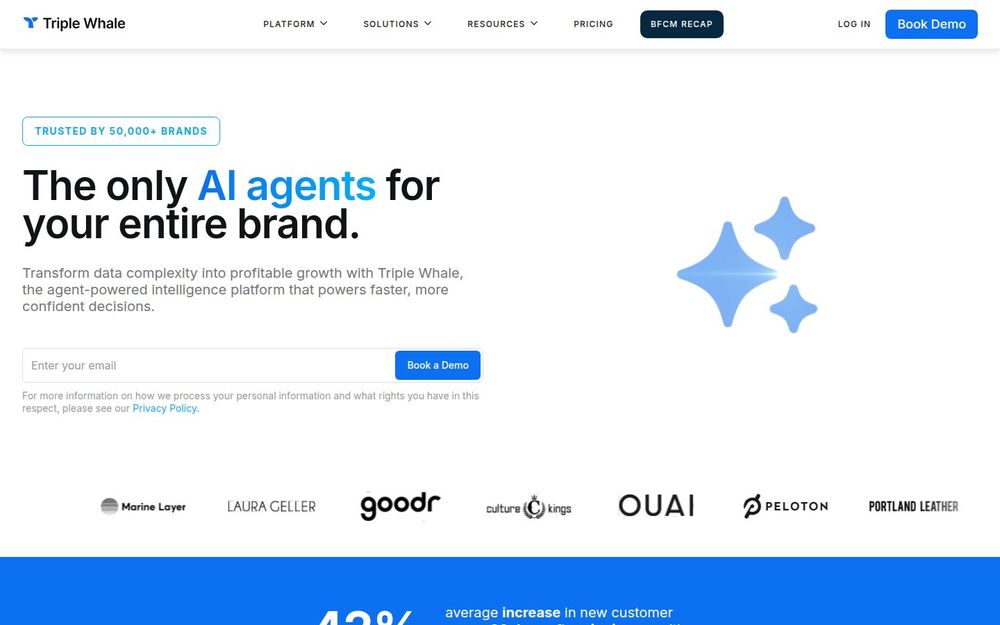 image of Triple Whale image of Triple Whale