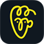 icon of Avatarify