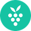icon of Berrycast