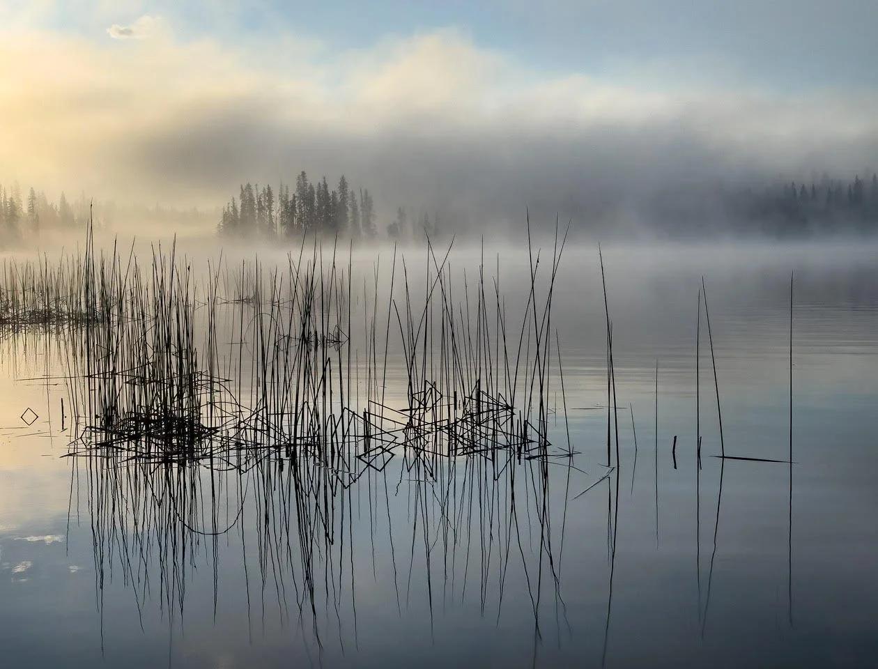Judy Kramer: Water, the Gift of Life