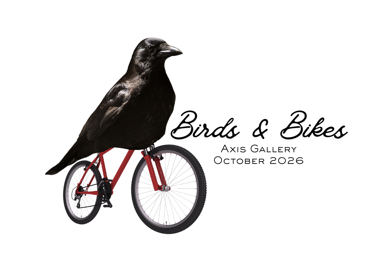 Birds & Bikes