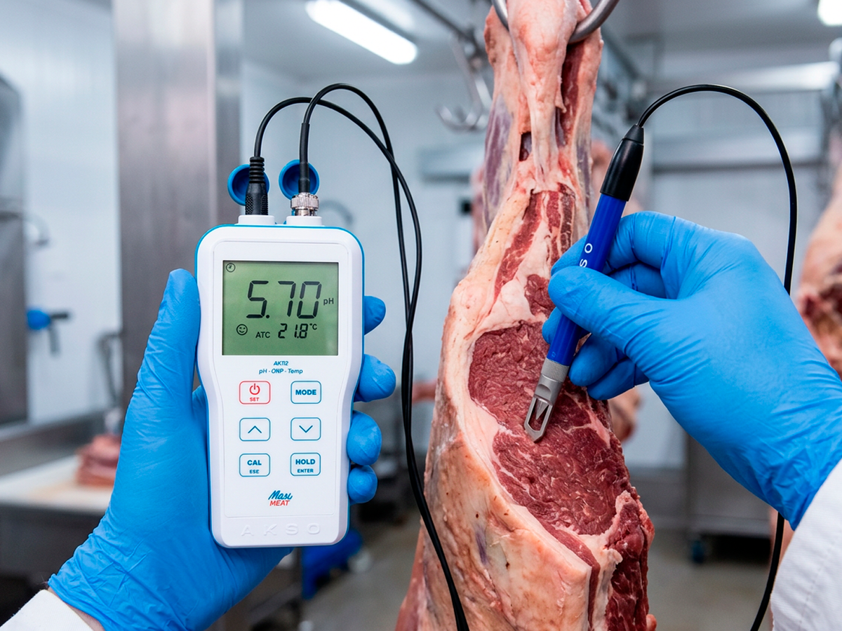 AK112 AK112 Max Meat - Portable pH Meter for Meat