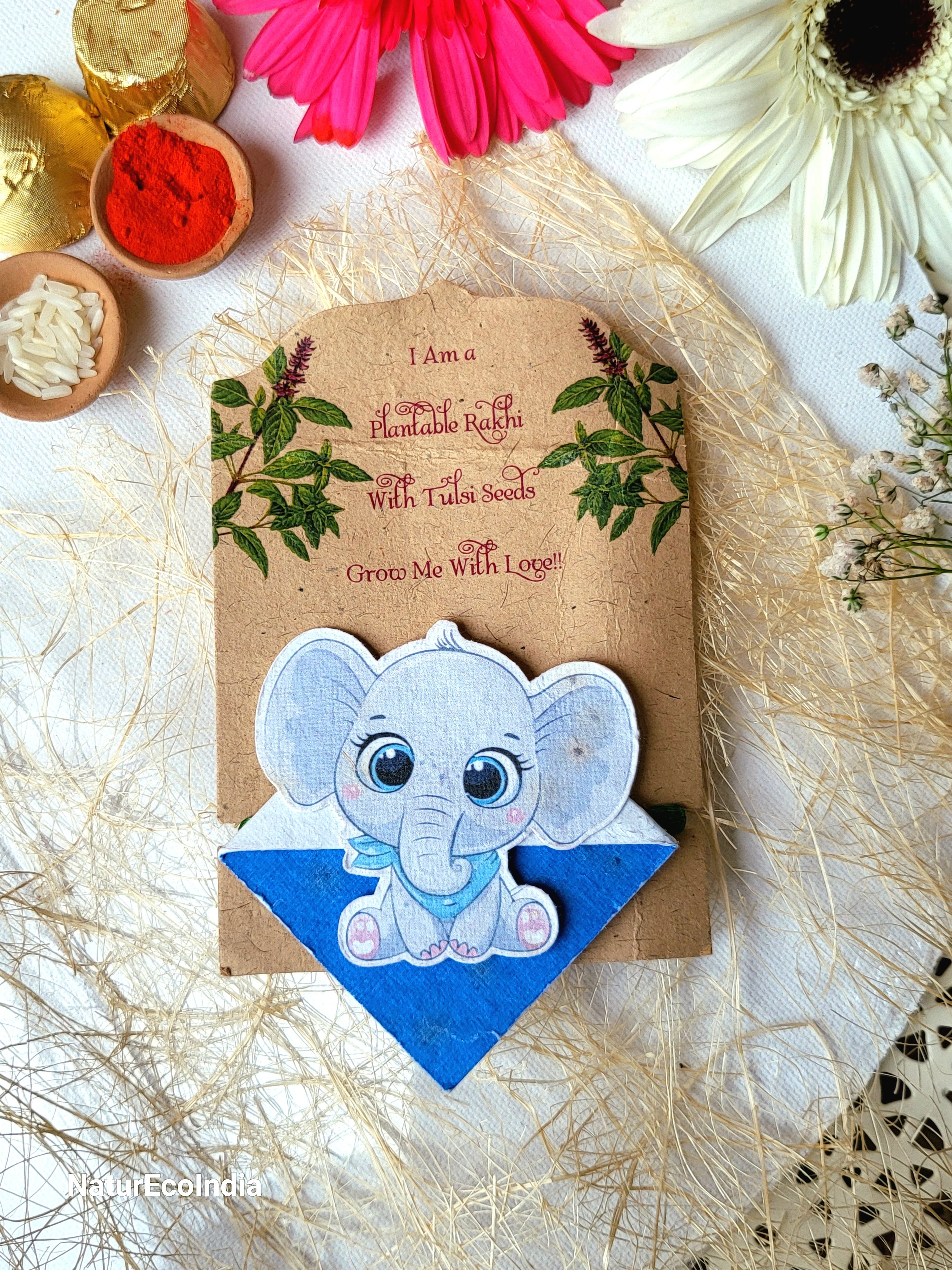 "Millenials - Alpha" Plantable Rakhi 7