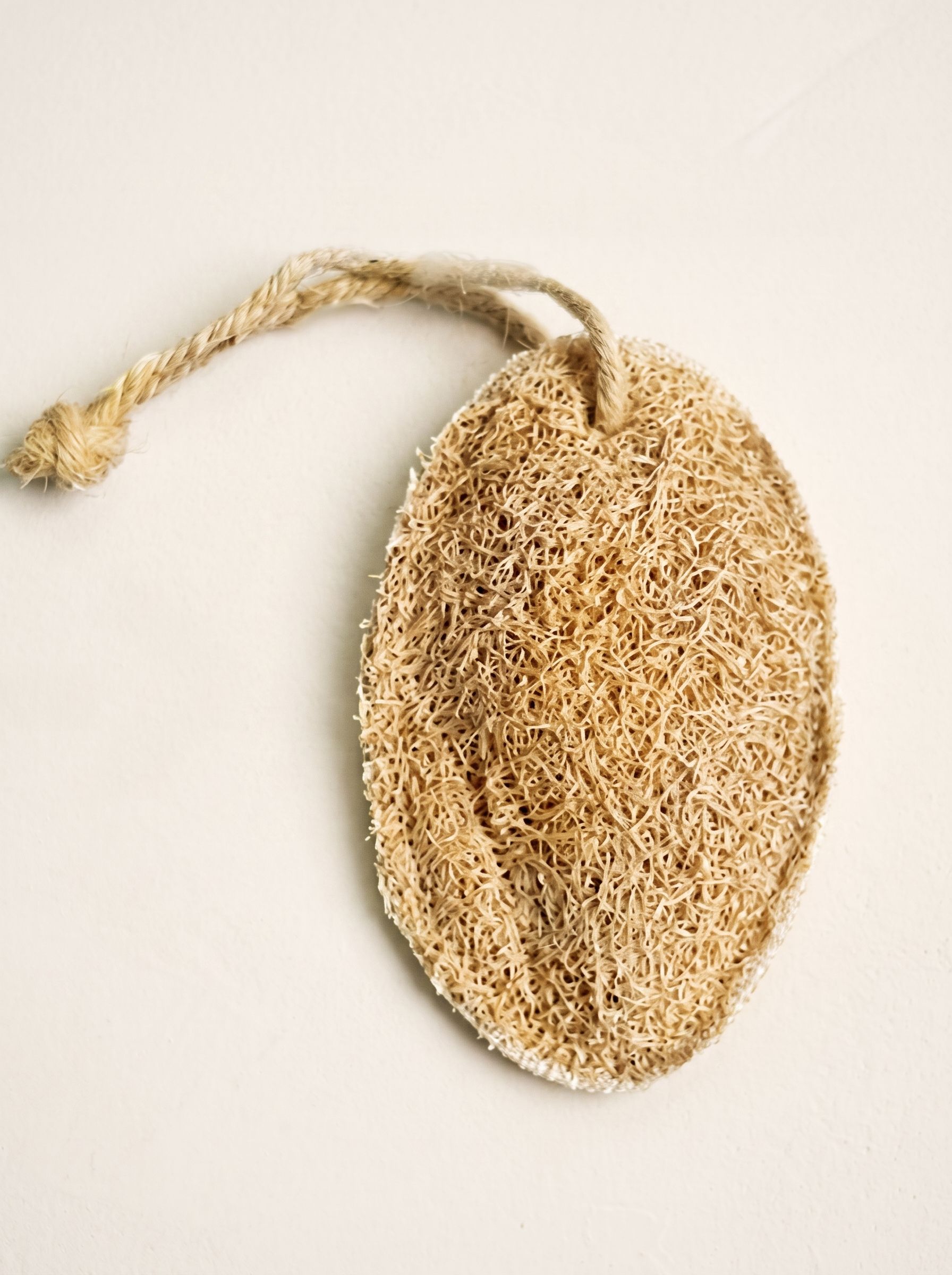 Gourd Loofah